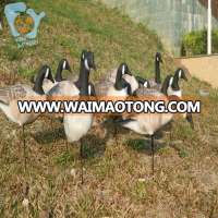 EVA/XPE Canadian Goose Decory Duck Hunting Decoy