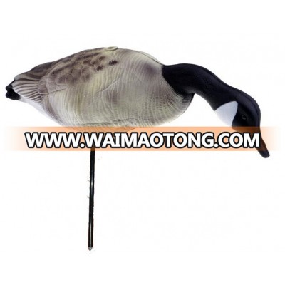 EVA foam Canadian feeding goose decoy